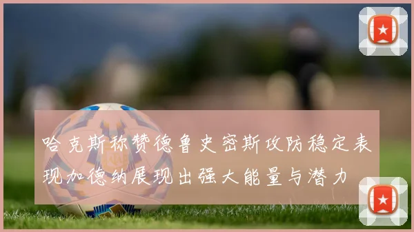 哈克斯称赞德鲁史密斯攻防稳定表现加德纳展现出强大能量与潜力