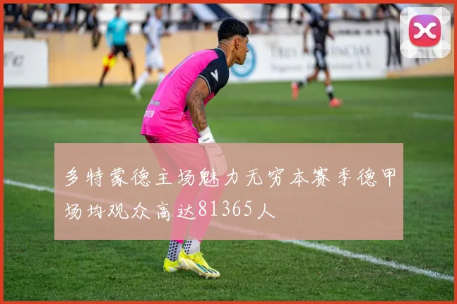 多特蒙德主场魅力无穷本赛季德甲场均观众高达81365人