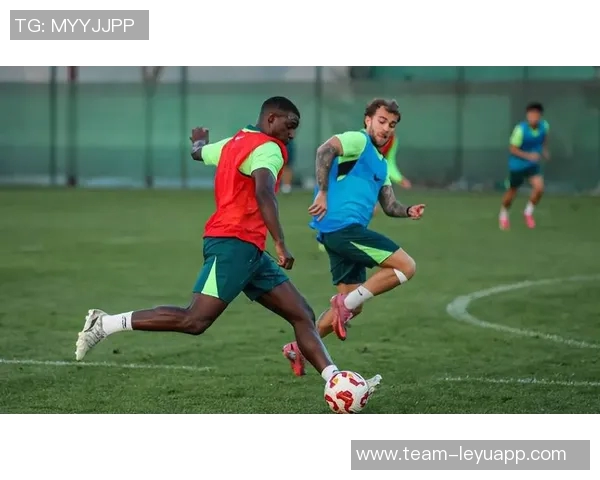 法比奥咨询归化国足事宜遗憾失去机会引发关注